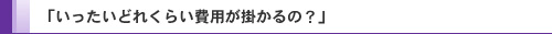いったいどれくらい費用が掛かるの?